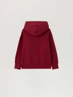 Neck Logo Brick Red Hoodie-1