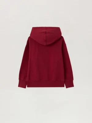 Neck Logo Brick Red Hoodie-1