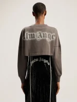 classic-logo-crop-top-4