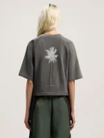 dollar-cropped-tee-4