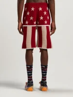 stars-and-stripes-shorts-4